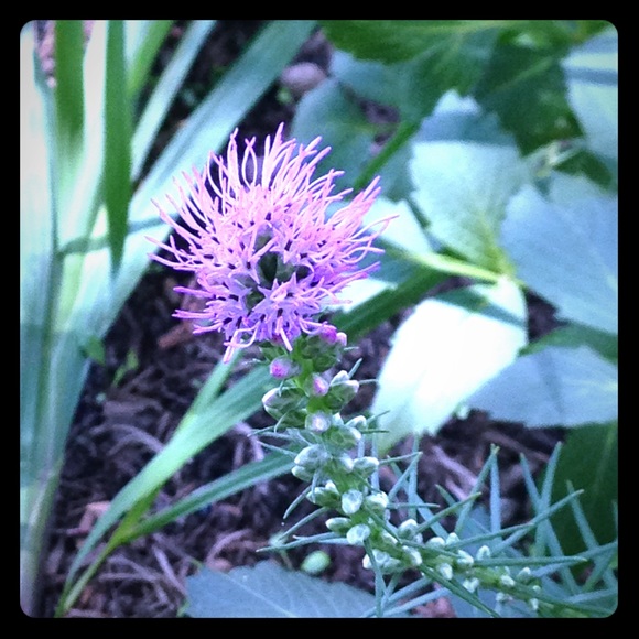 Meet your Posher. - Picture 1 of 1